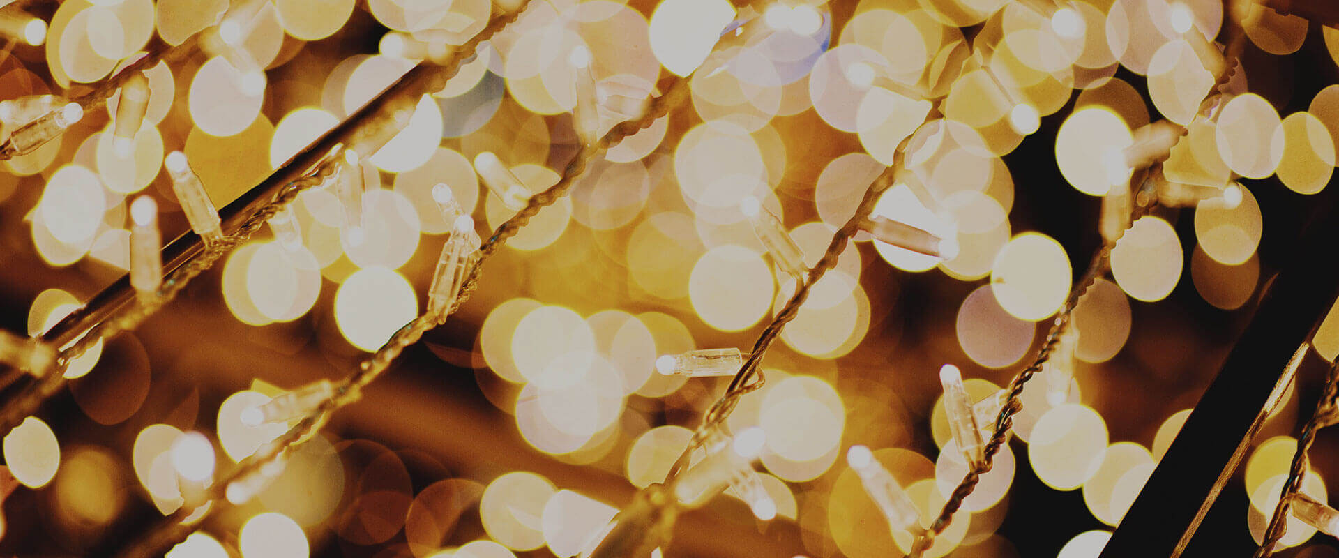 Chicago Holiday Light Tours